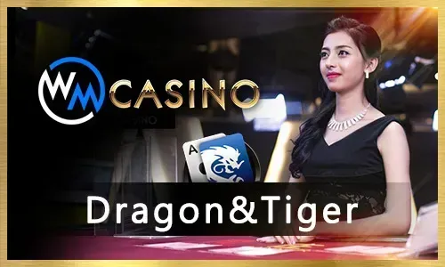 Graphic illustrating daily cashback and reload bonuses, with gold coins and a vibrant design, emphasizing rewards for loyal sz777 players in the Philippines, using brand colors.